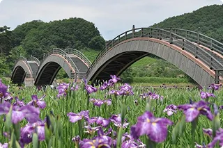 写真：平安の風わたる公園（後三年合戦古戦場）