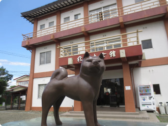 写真：秋田犬会館