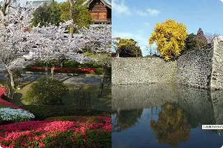 写真：八代城跡公園