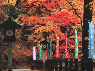 写真：唐沢山