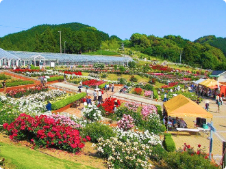 ばらの丘公園