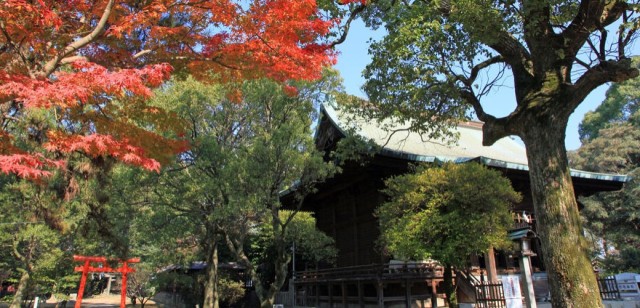 久留米城跡（篠山神社）