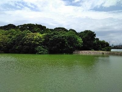 【松原市の名所】河内大塚山古墳