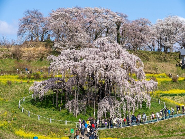 福島観光の拠点にぴったり:ザ・セレクトン福島