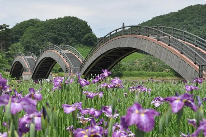 写真： 平安の風わたる公園