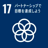 画像:17 パートナーシップで目標を達成しよう